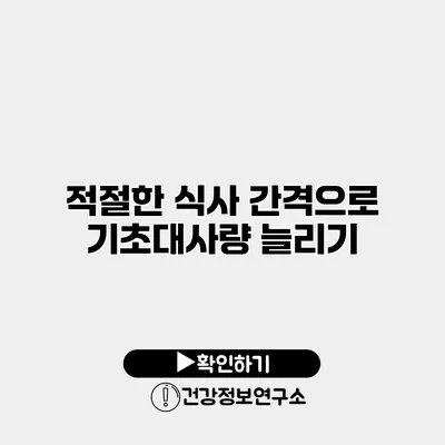 적절한 식사 간격으로 기초대사량 늘리기
