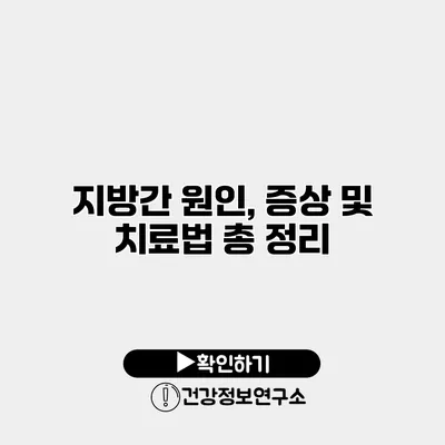 지방간 원인, 증상 및 치료법 총 정리