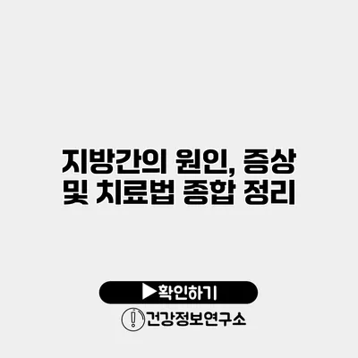 지방간의 원인, 증상 및 치료법 종합 정리