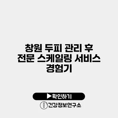창원 두피 관리 후 전문 스케일링 서비스 경험기