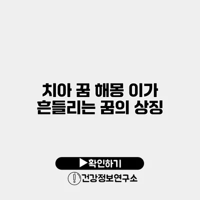 치아 꿈 해몽 이가 흔들리는 꿈의 상징