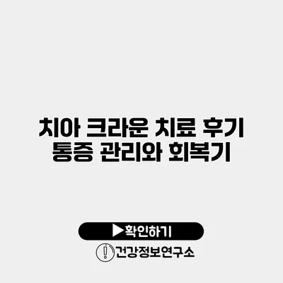 치아 크라운 치료 후기 통증 관리와 회복기