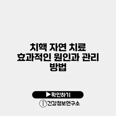 치핵 자연 치료 효과적인 원인과 관리 방법