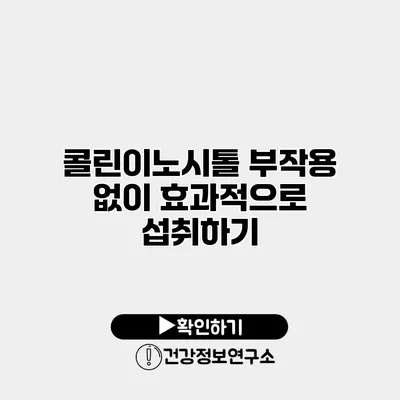 콜린이노시톨 부작용 없이 효과적으로 섭취하기