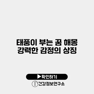 태풍이 부는 꿈 해몽 강력한 감정의 상징