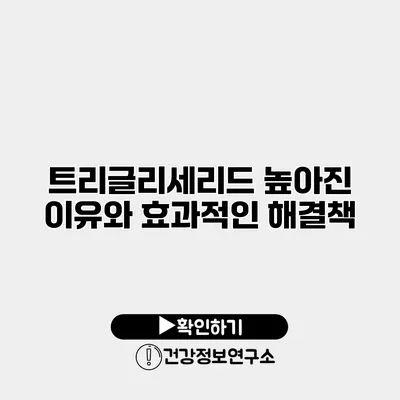 트리글리세리드 높아진 이유와 효과적인 해결책