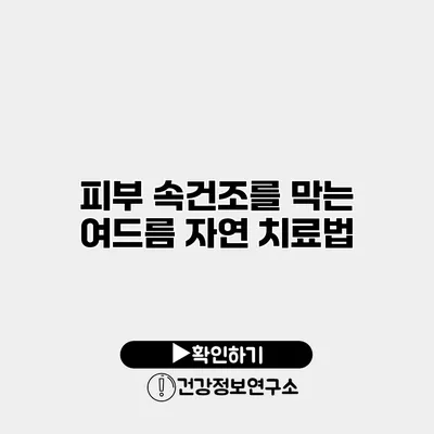 피부 속건조를 막는 여드름 자연 치료법
