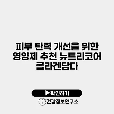 피부 탄력 개선을 위한 영양제 추천 뉴트리코어 콜라겐담다