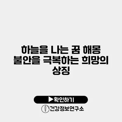 하늘을 나는 꿈 해몽 불안을 극복하는 희망의 상징