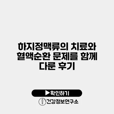 하지정맥류의 치료와 혈액순환 문제를 함께 다룬 후기