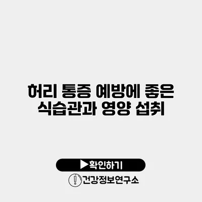 허리 통증 예방에 좋은 식습관과 영양 섭취