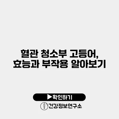 혈관 청소부 고등어, 효능과 부작용 알아보기