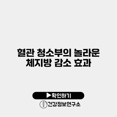 혈관 청소부의 놀라운 체지방 감소 효과
