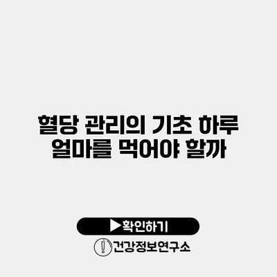 혈당 관리의 기초 하루 얼마를 먹어야 할까?