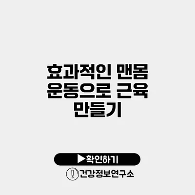 효과적인 맨몸 운동으로 근육 만들기