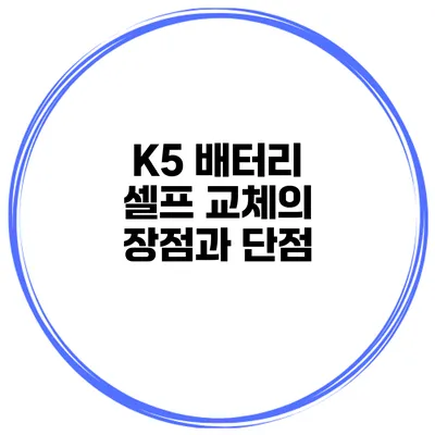K5 배터리 셀프 교체의 장점과 단점