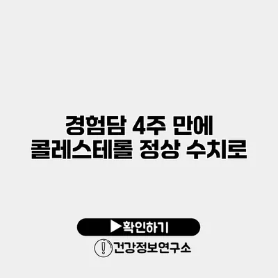 경험담 4주 만에 콜레스테롤 정상 수치로