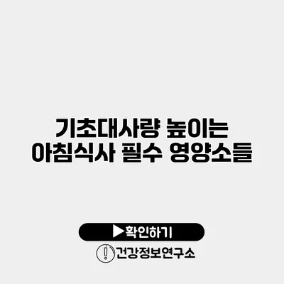 기초대사량 높이는 아침식사 필수 영양소들