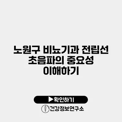 노원구 비뇨기과 전립선 초음파의 중요성 이해하기