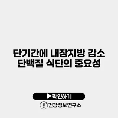 단기간에 내장지방 감소 단백질 식단의 중요성