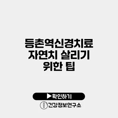 등촌역신경치료 자연치 살리기 위한 팁