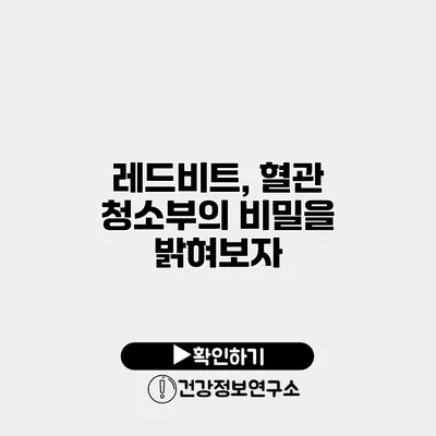 레드비트, 혈관 청소부의 비밀을 밝혀보자
