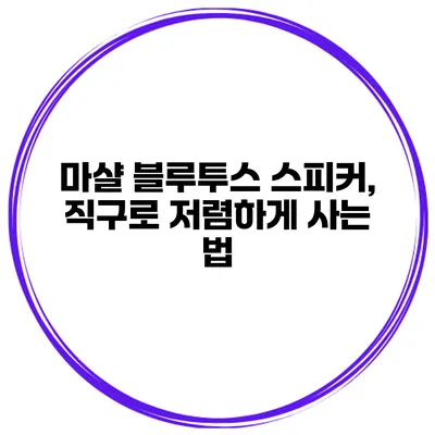 마샬 블루투스 스피커, 직구로 저렴하게 사는 법