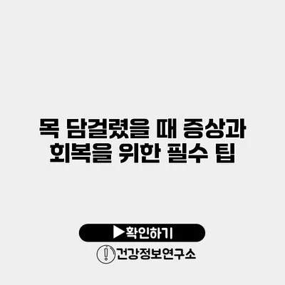목 담걸렸을 때 증상과 회복을 위한 필수 팁