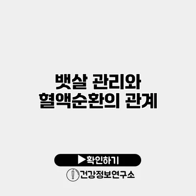 뱃살 관리와 혈액순환의 관계