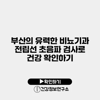 부산의 유력한 비뇨기과 전립선 초음파 검사로 건강 확인하기
