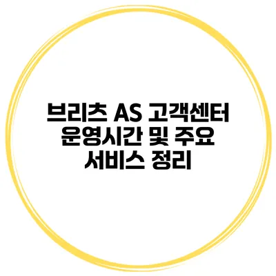 브리츠 AS 고객센터 운영시간 및 주요 서비스 정리