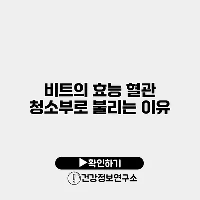 비트의 효능 혈관 청소부로 불리는 이유