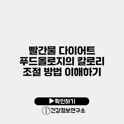 빨간물 다이어트 푸드올로지의 칼로리 조절 방법 이해하기