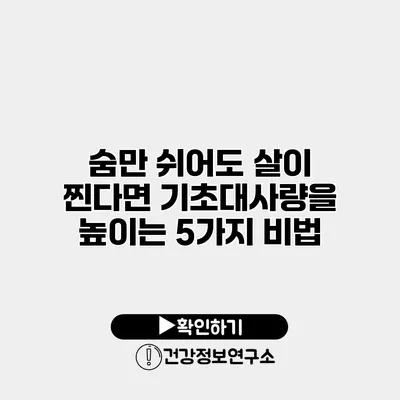 숨만 쉬어도 살이 찐다면? 기초대사량을 높이는 5가지 비법
