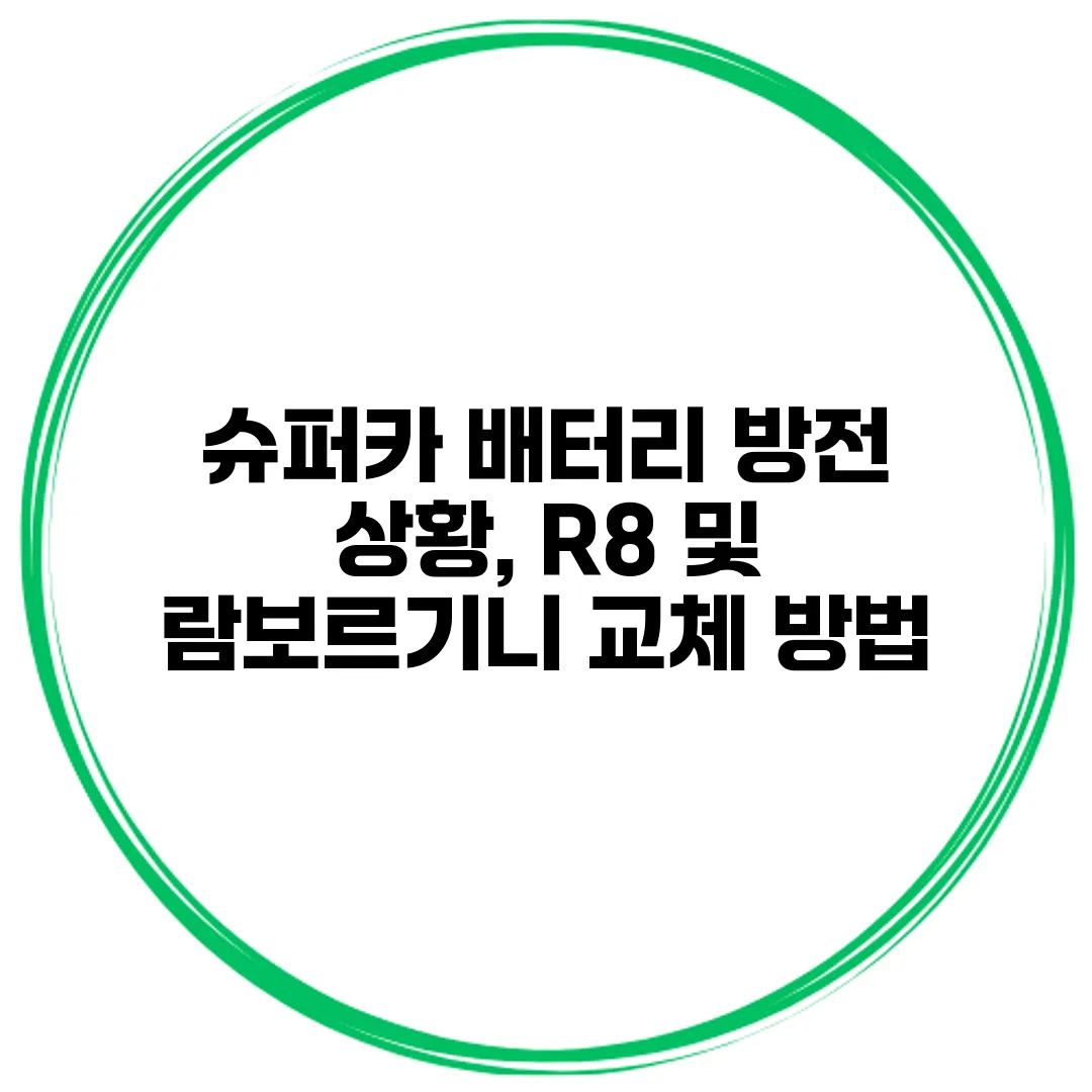 슈퍼카 배터리 방전 상황, R8 및 람보르기니 교체 방법