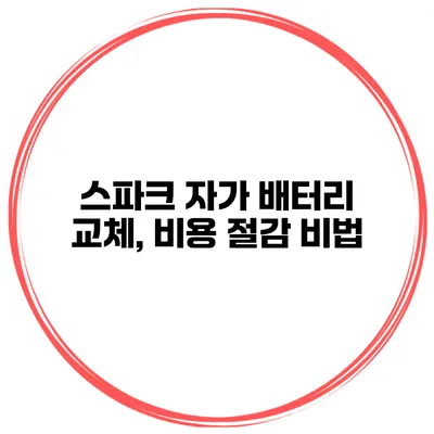 스파크 자가 배터리 교체, 비용 절감 비법