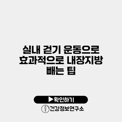실내 걷기 운동으로 효과적으로 내장지방 빼는 팁