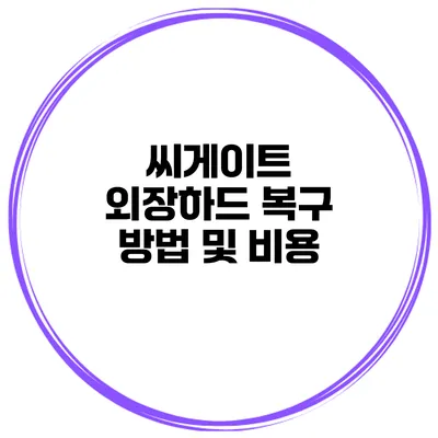 씨게이트 외장하드 복구 방법 및 비용