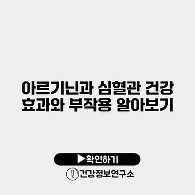 아르기닌과 심혈관 건강 효과와 부작용 알아보기