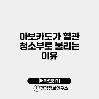 아보카도가 혈관 청소부로 불리는 이유