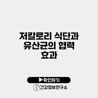 저칼로리 식단과 유산균의 협력 효과