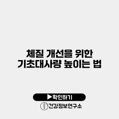 체질 개선을 위한 기초대사량 높이는 법