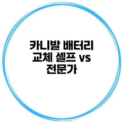 카니발 배터리 교체 셀프 vs 전문가