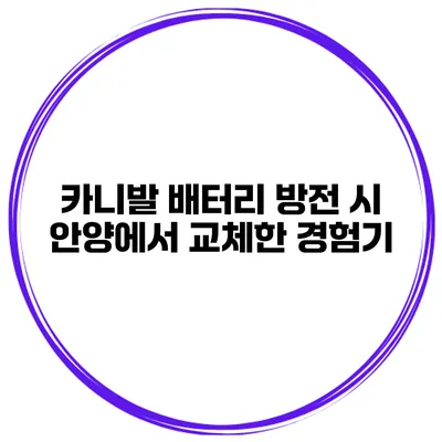 카니발 배터리 방전 시 안양에서 교체한 경험기