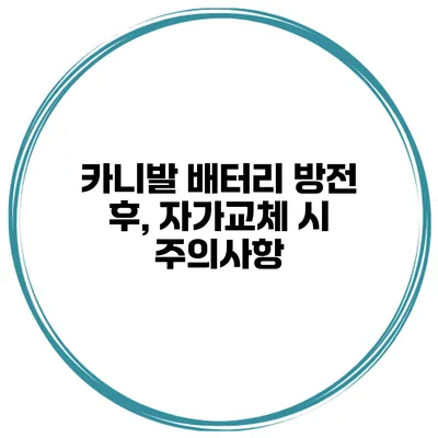 카니발 배터리 방전 후, 자가교체 시 주의사항