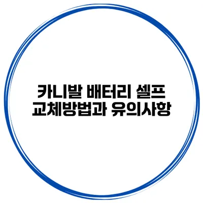 카니발 배터리 셀프 교체방법과 유의사항