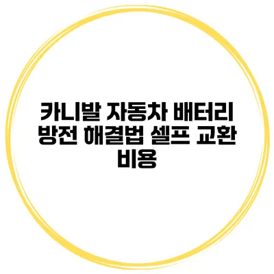 카니발 자동차 배터리 방전 해결법 셀프 교환 비용