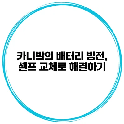 카니발의 배터리 방전, 셀프 교체로 해결하기