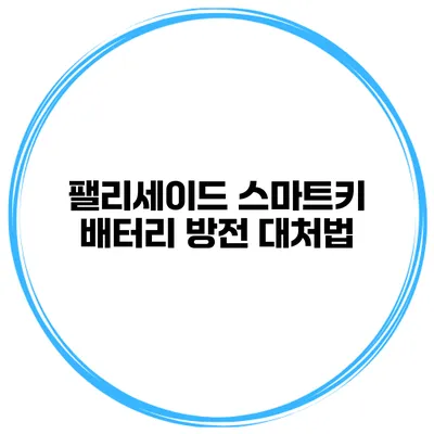 팰리세이드 스마트키 배터리 방전 대처법